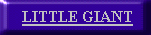 approvedladderandscaffold025.gif